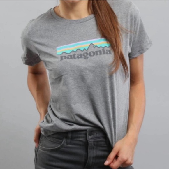 Patagonia Tops - Patagonia Women’s Gray Graphic Short Sleeve T-Shirt Size Small